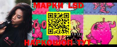 молекула духа Кандалакша