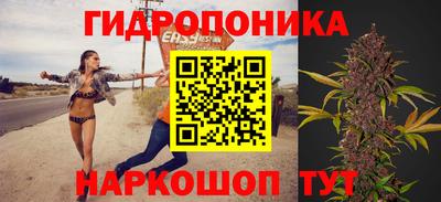 дурь Камышлов