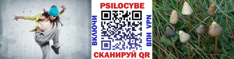 Псилоцибиновые грибы Psilocybine cubensis Чистополь