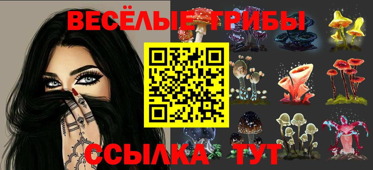 Галлюциногенные грибы Psilocybe Чистополь